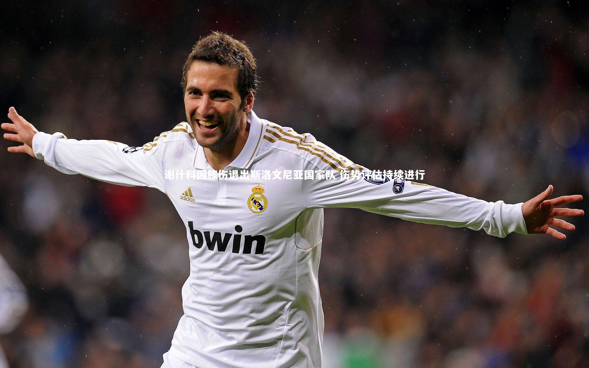 谢什科因膝伤退出斯洛文尼亚国家队 伤势评估持续进行